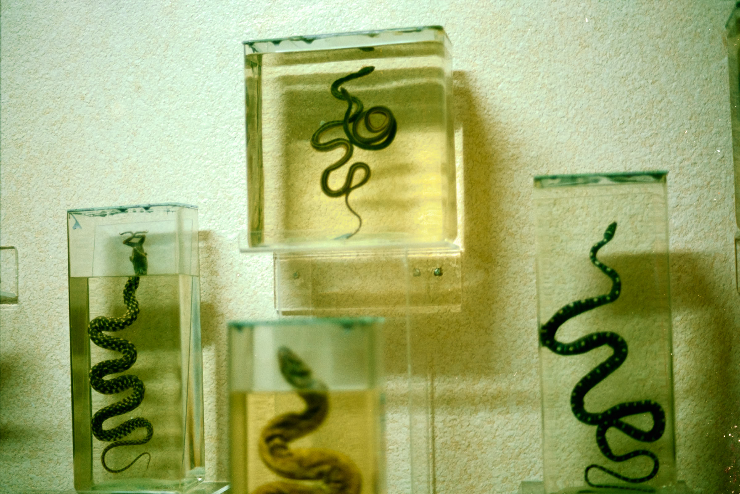 AHP film 2005 01 001 sc240825 img13 NLP